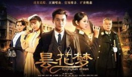 电视剧昙花梦在线观看,穿越时空的奇幻之旅